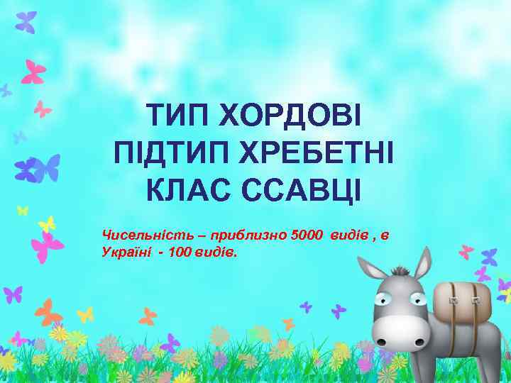 ТИП ХОРДОВІ ПІДТИП ХРЕБЕТНІ КЛАС ССАВЦІ Чисельність – приблизно 5000 видів , в Україні