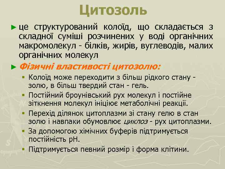 Цитозоль ► це структурований колоїд, що складається з складної суміші розчинених у воді органічних