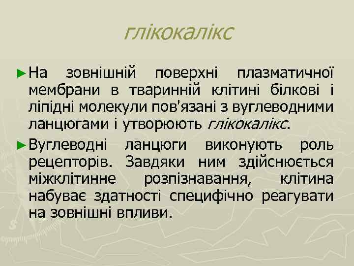 глікокалікс ► На зовнішній поверхні плазматичної мембрани в тваринній клітині білкові і ліпідні молекули