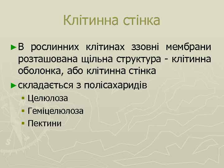 Клітинна стінка ►В рослинних клітинах ззовні мембрани розташована щільна структура - клітинна оболонка, або