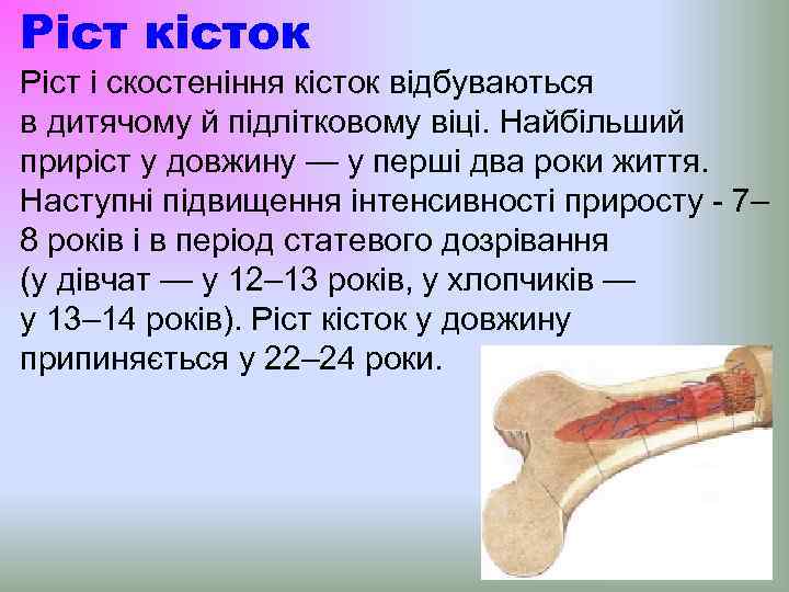 Ріст кісток Ріст і скостеніння кісток відбуваються в дитячому й підлітковому віці. Найбільший приріст