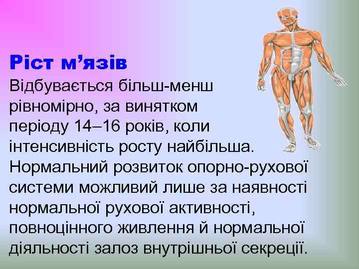 Ріст м’язів Відбувається більш-менш рівномірно, за винятком періоду 14– 16 років, коли інтенсивність росту