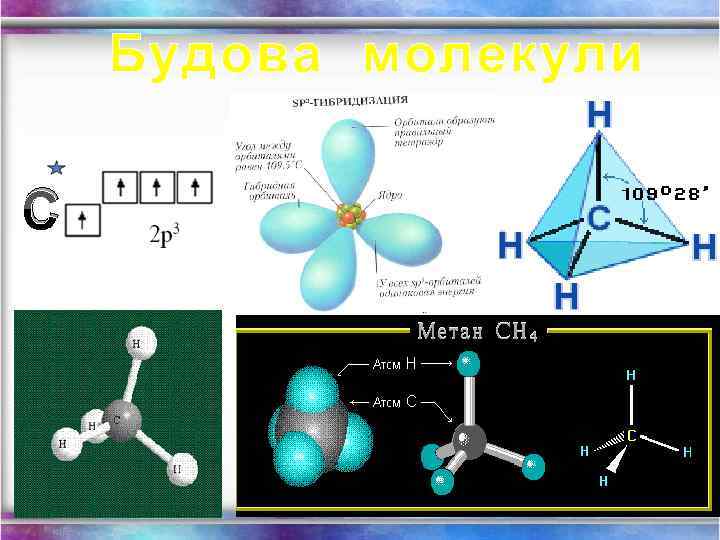 Будова молекули С 