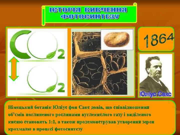 Німецький ботанік Юліус фон Сакс довів, що співвідношення об’ємів поглиненого рослинами вуглекислого газу і