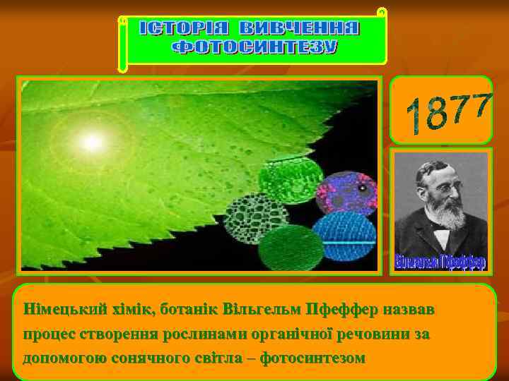 Німецький хімік, ботанік Вільгельм Пфеффер назвав процес створення рослинами органічної речовини за допомогою сонячного