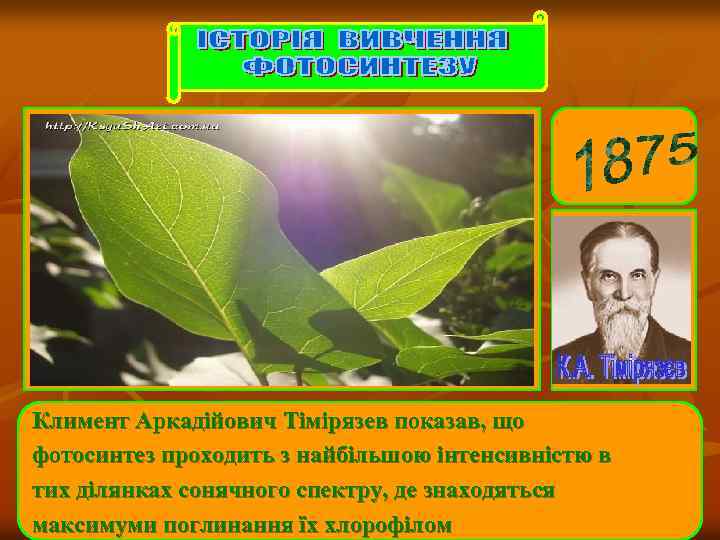 Климент Аркадійович Тімірязев показав, що фотосинтез проходить з найбільшою інтенсивністю в тих ділянках сонячного