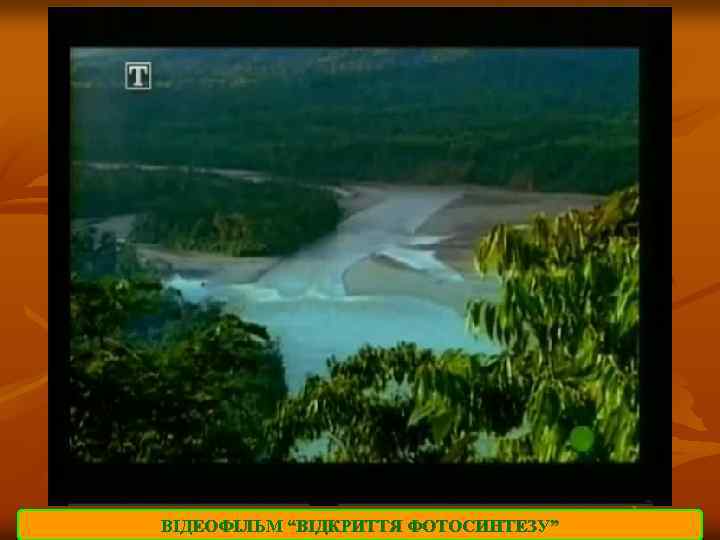 ВІДЕОФІЛЬМ “ВІДКРИТТЯ ФОТОСИНТЕЗУ” 