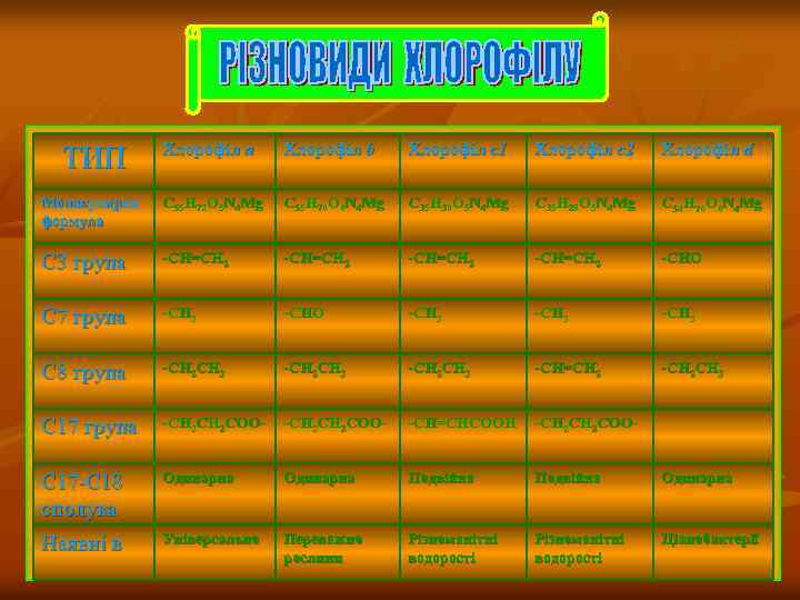 ТИП Хлорофіл a Хлорофіл b Хлорофіл c 1 Хлорофіл c 2 Хлорофіл d Молекулярна