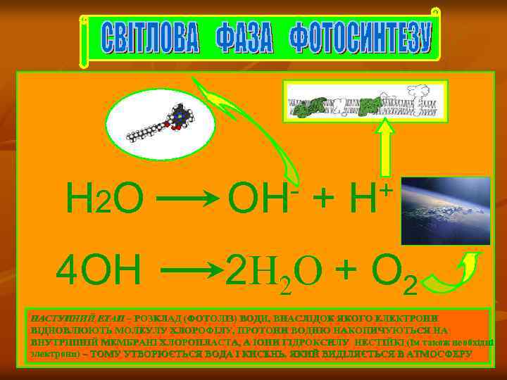 Н 2 О 4 ОН ОН + + Н 2 Н 2 О +