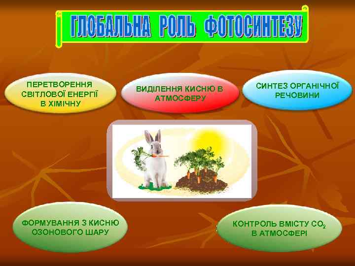 ПЕРЕТВОРЕННЯ СВІТЛОВОЇ ЕНЕРГІЇ В ХІМІЧНУ ФОРМУВАННЯ З КИСНЮ ОЗОНОВОГО ШАРУ ВИДІЛЕННЯ КИСНЮ В АТМОСФЕРУ