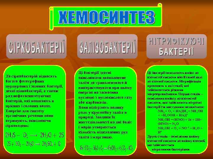 До сіркобактерій відносять багато фототрофних пурпурових і зелених бактерії, деякі ціанобактерії, а також ряд