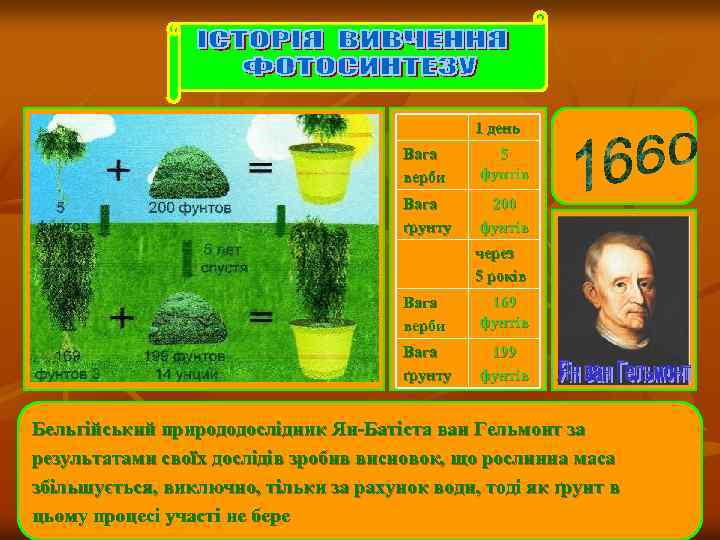 1 день Вага верби 5 фунтів Вага ґрунту 200 фунтів через 5 років Вага