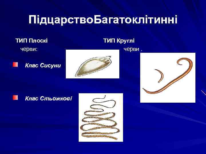 Підцарство. Багатоклітинні ТИП Плоскі черви: Клас Сисуни Клас Стьожкові ТИП Круглі черви. 