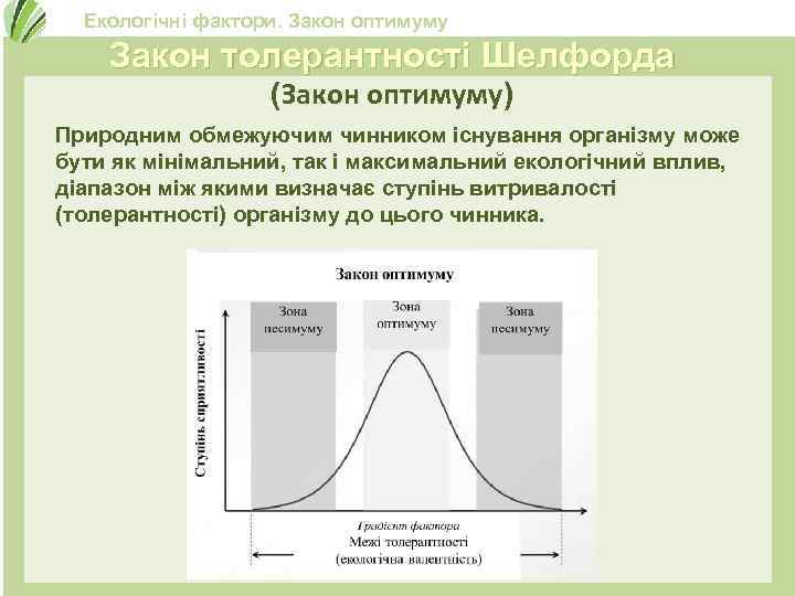 Екологічні фактори. Закон оптимуму Закон толерантності Шелфорда (Закон оптимуму) Природним обмежуючим чинником існування організму