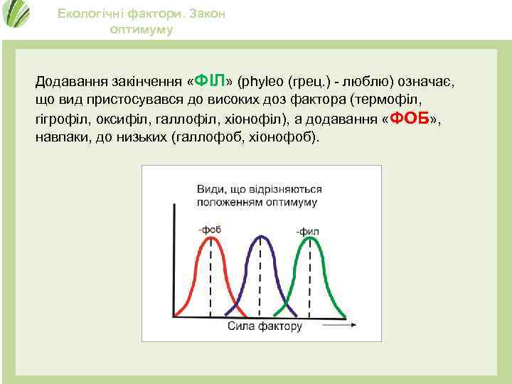 Екологічні фактори. Закон оптимуму Додавання закінчення «ФІЛ» (phyleo (грец. ) - люблю) означає, що