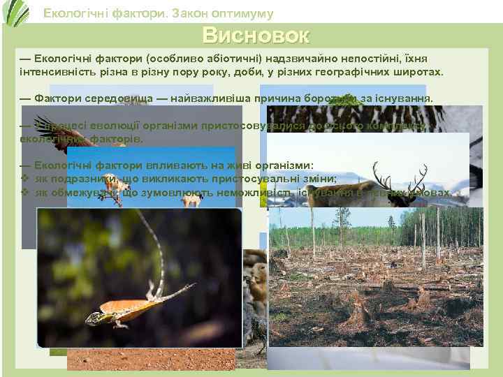 Екологічні фактори. Закон оптимуму Висновок — Екологічні фактори (особливо абіотичні) надзвичайно непостійні, їхня інтенсивність