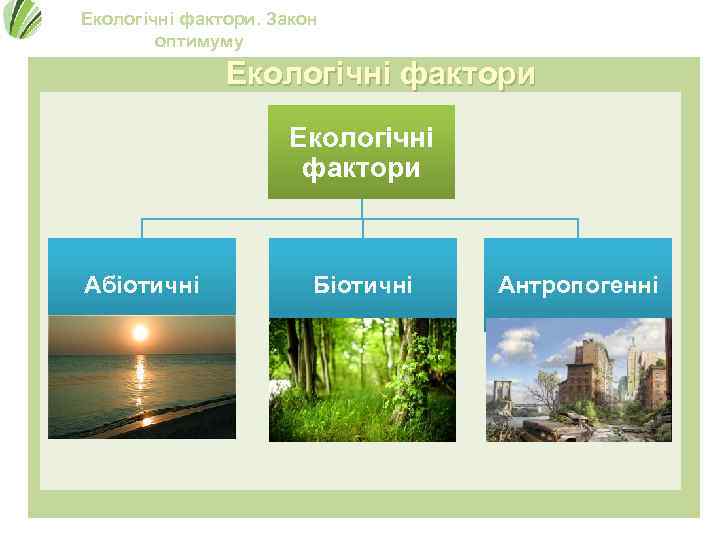 Екологічні фактори. Закон оптимуму Екологічні фактори Абіотичні Біотичні Антропогенні 