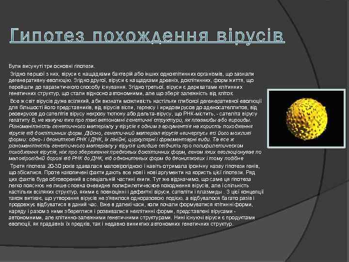 Були висунуті три основні гіпотези. Згідно першої з них, віруси є нащадками бактерій або