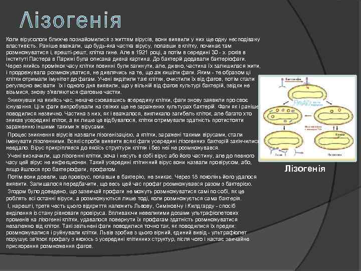 Коли вірусологи ближче познайомилися з життям вірусів, вони виявили у них ще одну несподівану