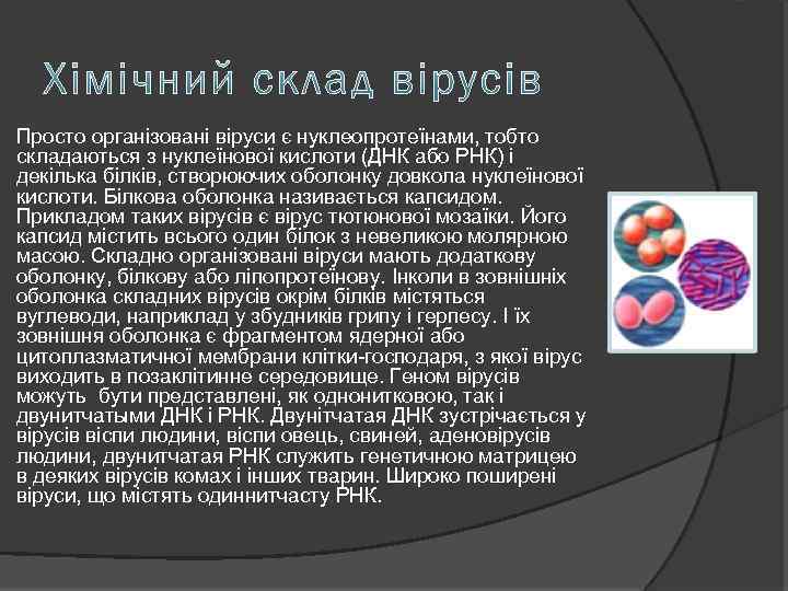 Просто організовані віруси є нуклеопротеїнами, тобто складаються з нуклеїнової кислоти (ДНК або РНК) і