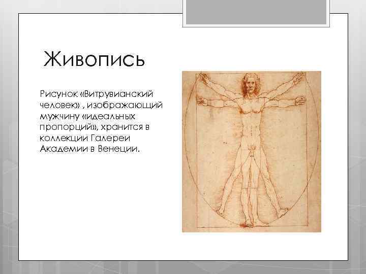 Живопись Рисунок «Витрувианский человек» , изображающий мужчину «идеальных пропорций» , хранится в коллекции Галереи