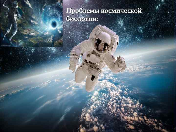 Космическая биология презентация