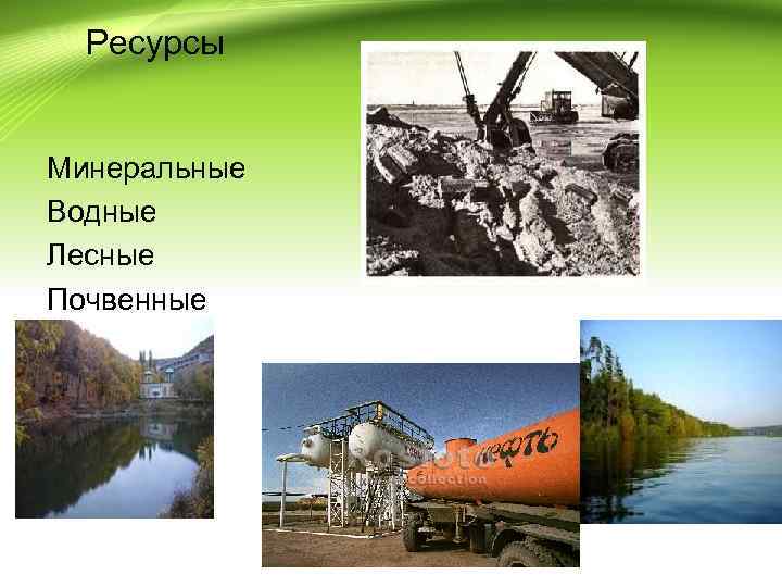  Ресурсы Минеральные Водные Лесные Почвенные 