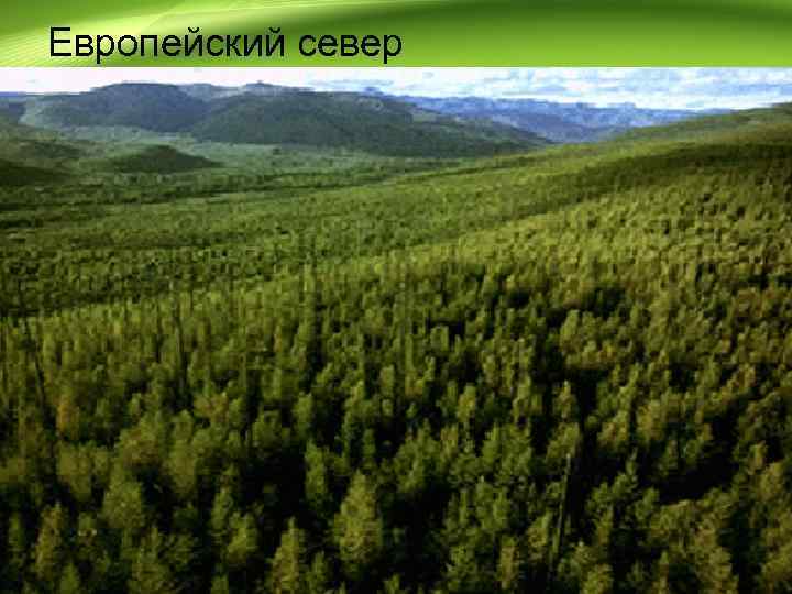 Европейский север 