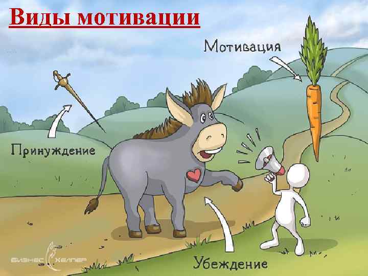 Виды мотивации 