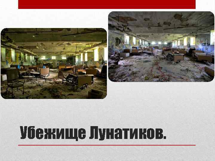 Убежище Лунатиков. 