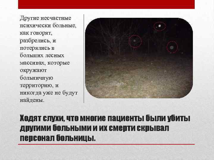 Другие несчастные психически больные, как говорят, разбрелись, и потерялись в больших лесных массивах, которые