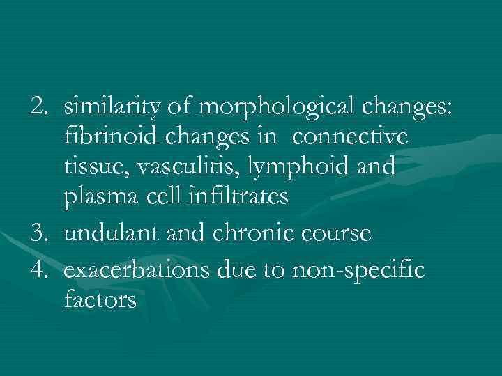 2. similarity of morphological changes: fibrinoid changes in connective tissue, vasculitis, lymphoid and plasma