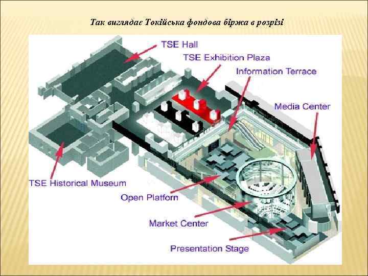  Так виглядає Токійська фондова біржа в розрізі 