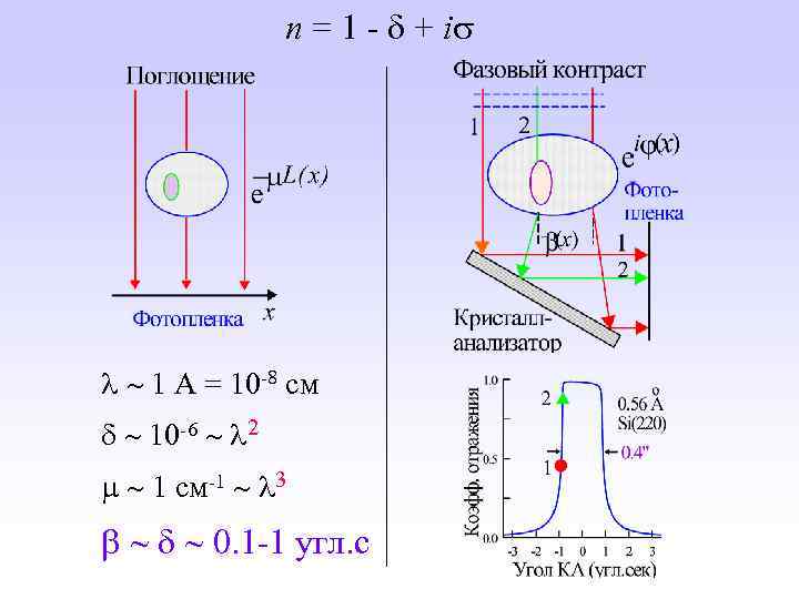 n = 1 - + i 1 A = 10 -8 см 10 -6