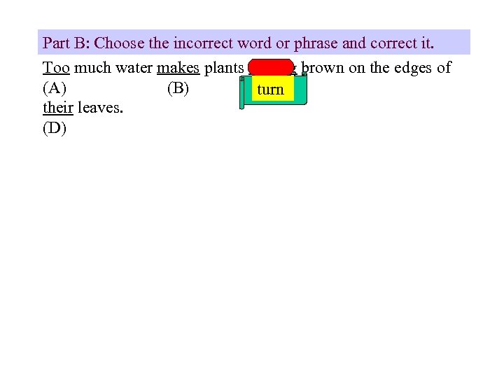 Part B: Choose the incorrect word or phrase and correct it. Too much water