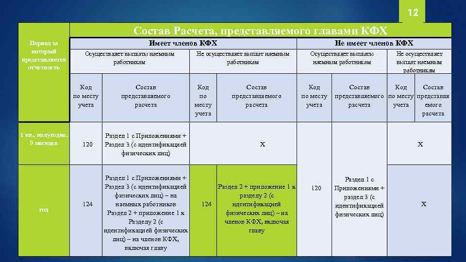 12 Состав Расчета, представляемого главами КФХ Период за который представляется отчетность Имеет членов КФХ