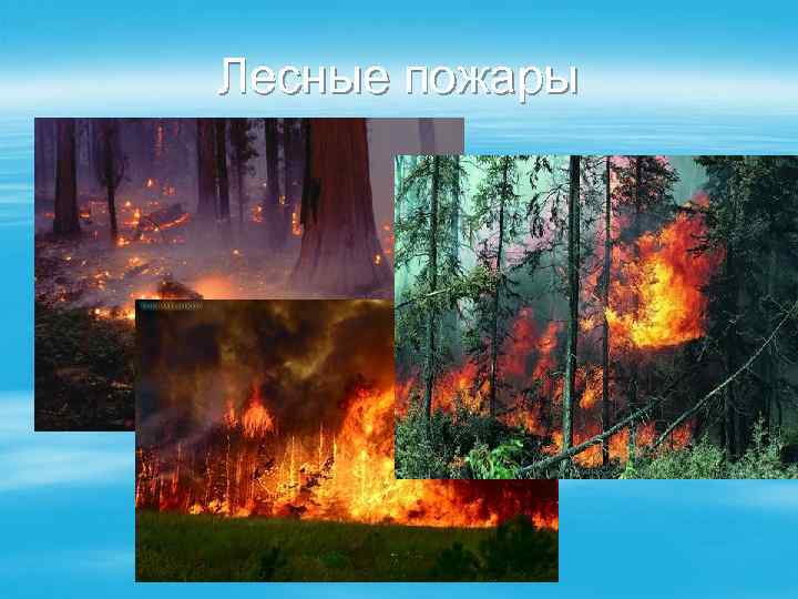 Лесные пожары 