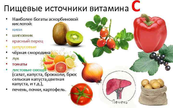 Пищевые источники витамина • Наиболее богаты аскорбиновой кислотой: • киви • шиповник • красный