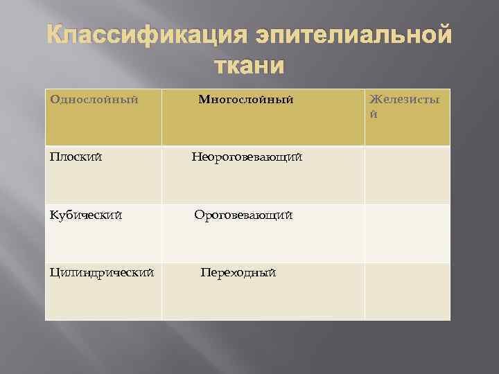 Классификация эпителиальной ткани Однослойный Многослойный Плоский Неороговевающий Кубический Ороговевающий Цилиндрический Переходный Железисты й 