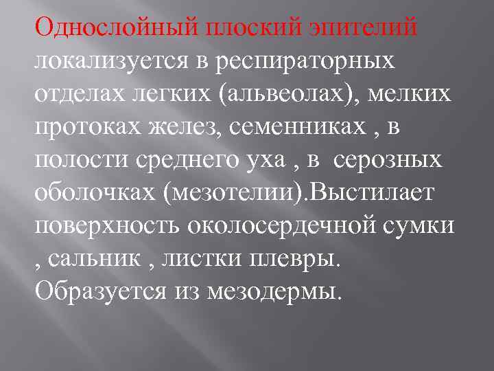 Однослойный плоский эпителий локализуется в респираторных отделах легких (альвеолах), мелких протоках желез, семенниках ,