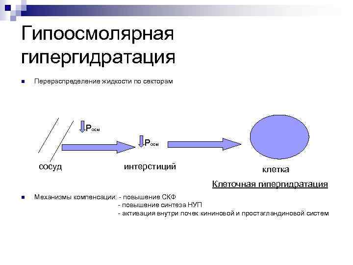 Гипоосмолярная гипергидратация n Перераспределение жидкости по секторам Pосм сосуд интерстиций клетка Клеточная гипергидратация n