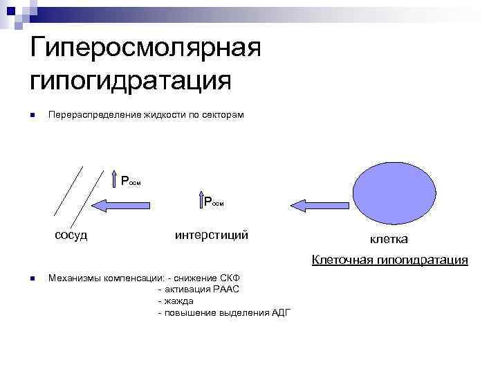 Гиперосмолярная гипогидратация n Перераспределение жидкости по секторам Pосм сосуд интерстиций клетка Клеточная гипогидратация n