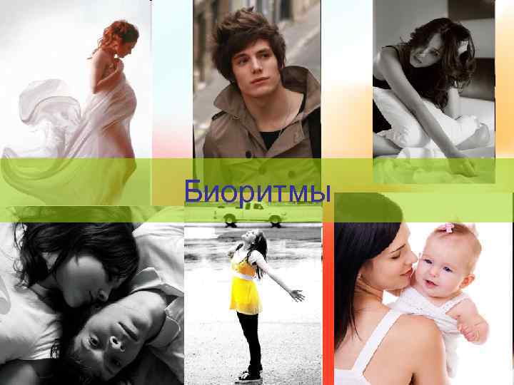 Биоритмы 