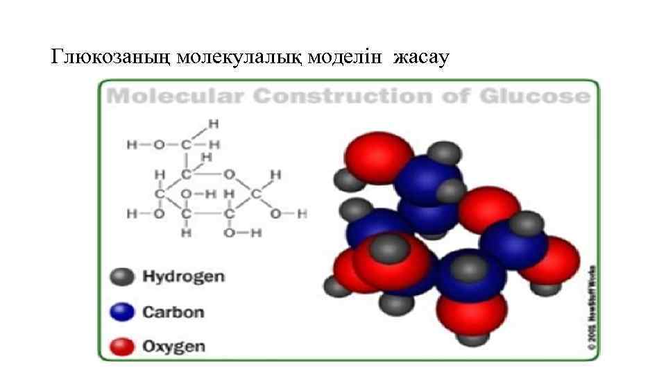 Глюкозаның молекулалық моделін жасау 