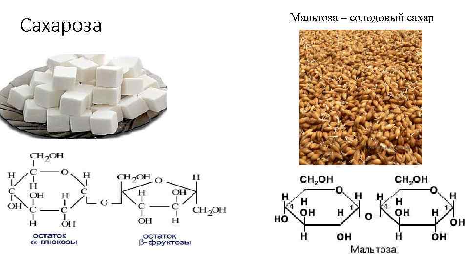 Сахароза Мальтоза – солодовый сахар 