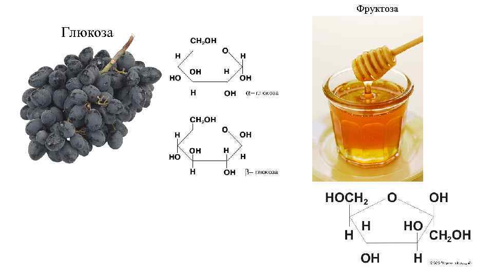 Фруктоза Глюкоза 