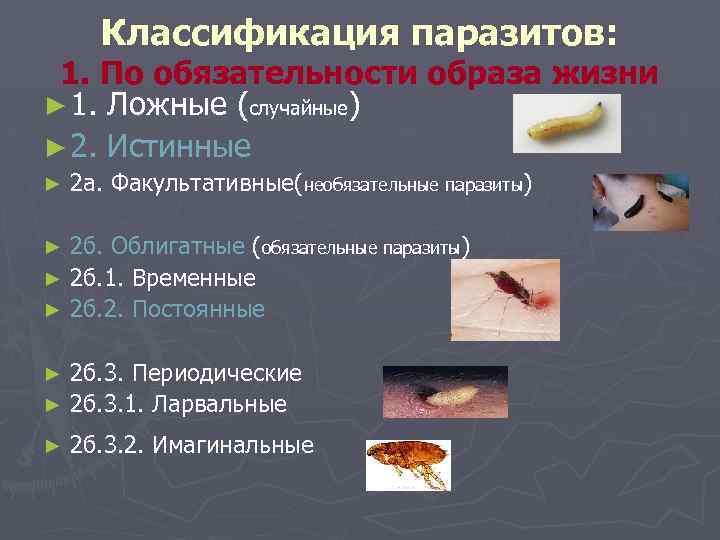 Известные организмы паразиты