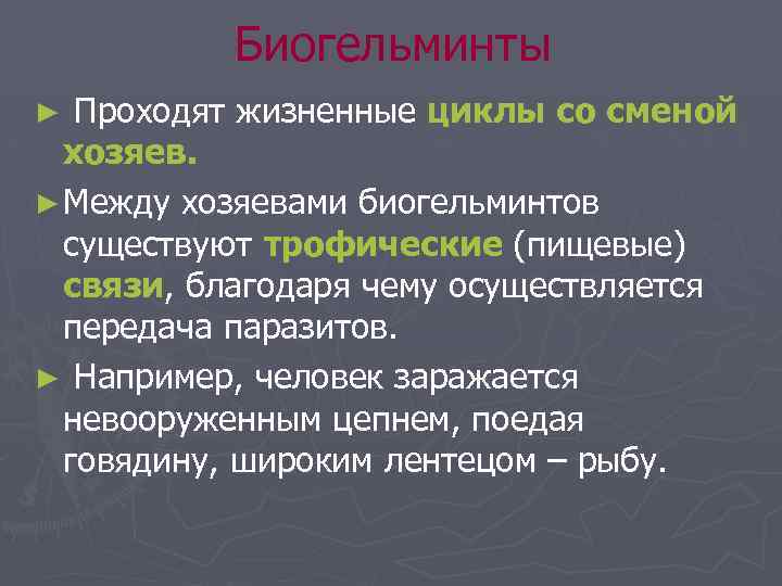 Биогельминты Проходят жизненные циклы со сменой хозяев. ► Между хозяевами биогельминтов существуют трофические (пищевые)