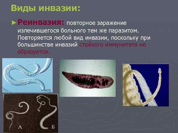 Виды инвазии: ► Реинвазия: повторное заражение излечившегося больного тем же паразитом. Повторяется любой вид