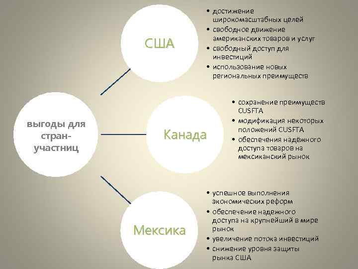 США выгоды для странучастниц • достижение широкомасштабных целей • свободное движение американских товаров и